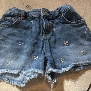 Denim Embroidered Blue Women's Shorts